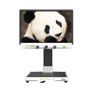 Электронный стационарный видеоувеличитель Zoomax Panda 19 дюймов