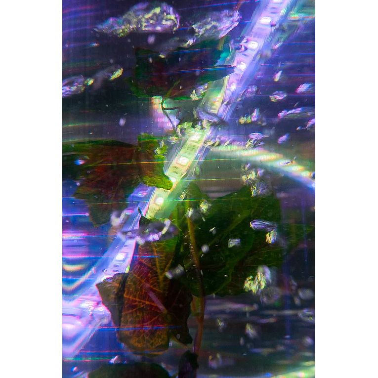 Интерактивная воздушнопузырьковая трубка Лиана с пультом управления (H200 D20)