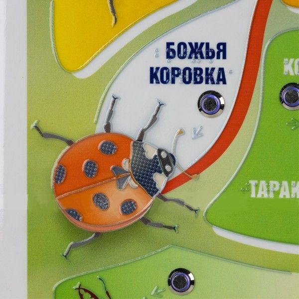Стенд тактильно-звуковой обучающий Насекомые с индукционной системой 440х640