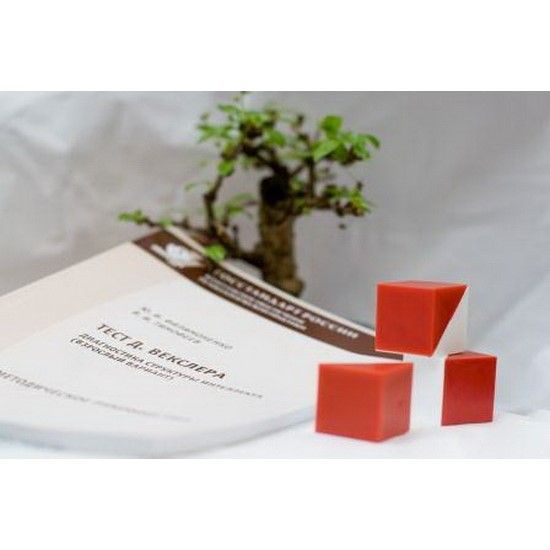 Тест Векслера: детский вариант