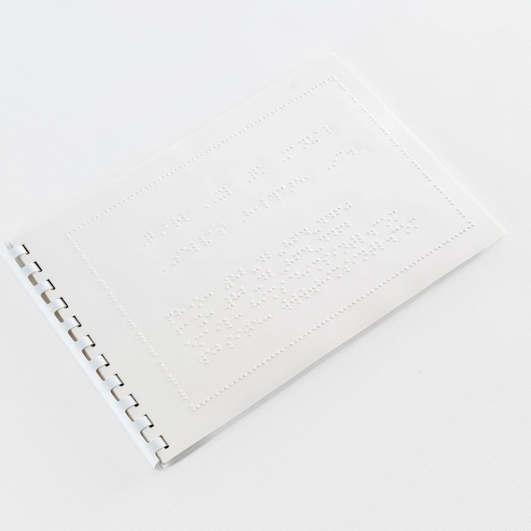 Дисплей Брайля QBraille XL