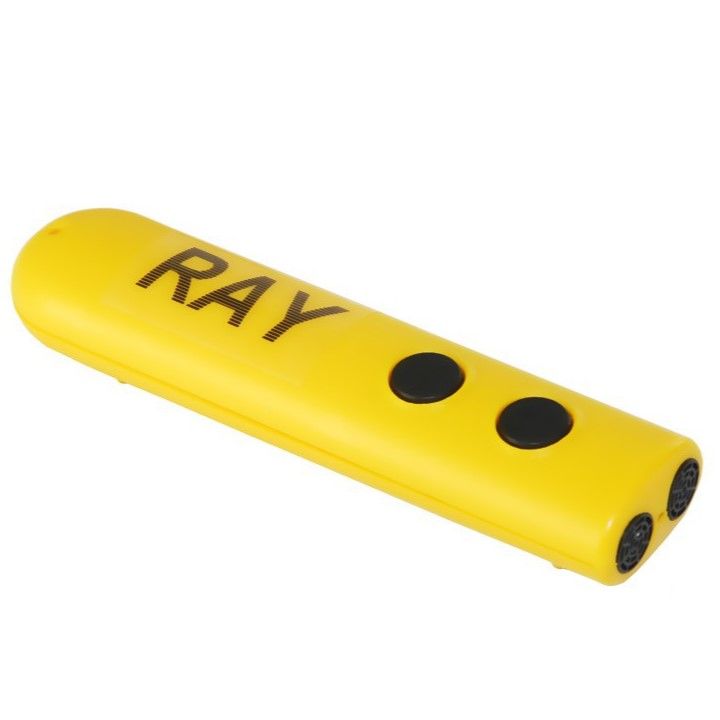 Электронная трость RAY