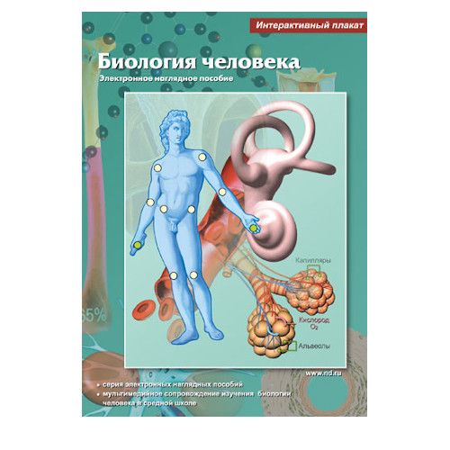 Интерактивные плакаты. Биология человека. Программно-методический комплекс