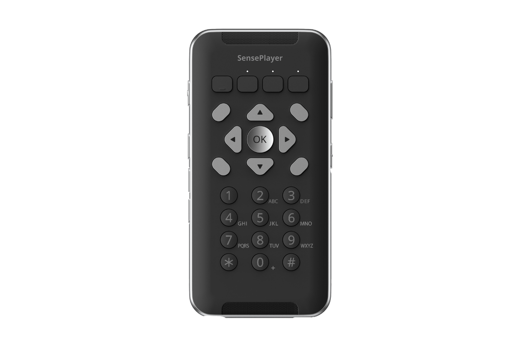 Тифлофлешплеер HIMS SensePlayer