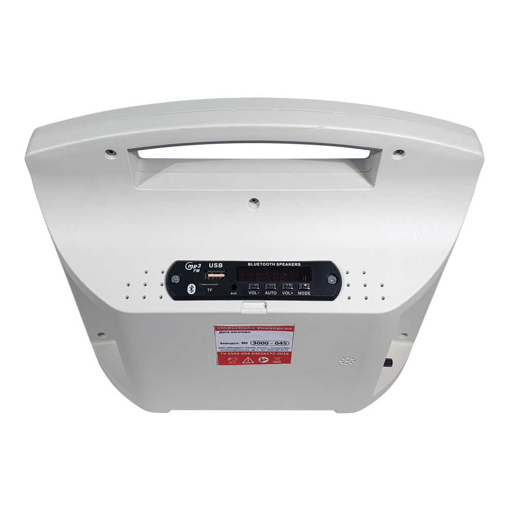 Портативная индукционная система Induction Универсал с MP3-плеером и информационной-коммуникативной системой