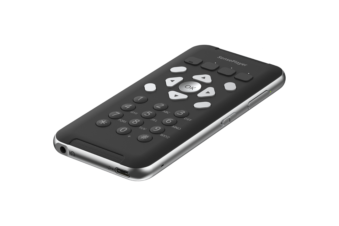 Тифлофлешплеер HIMS SensePlayer OCR