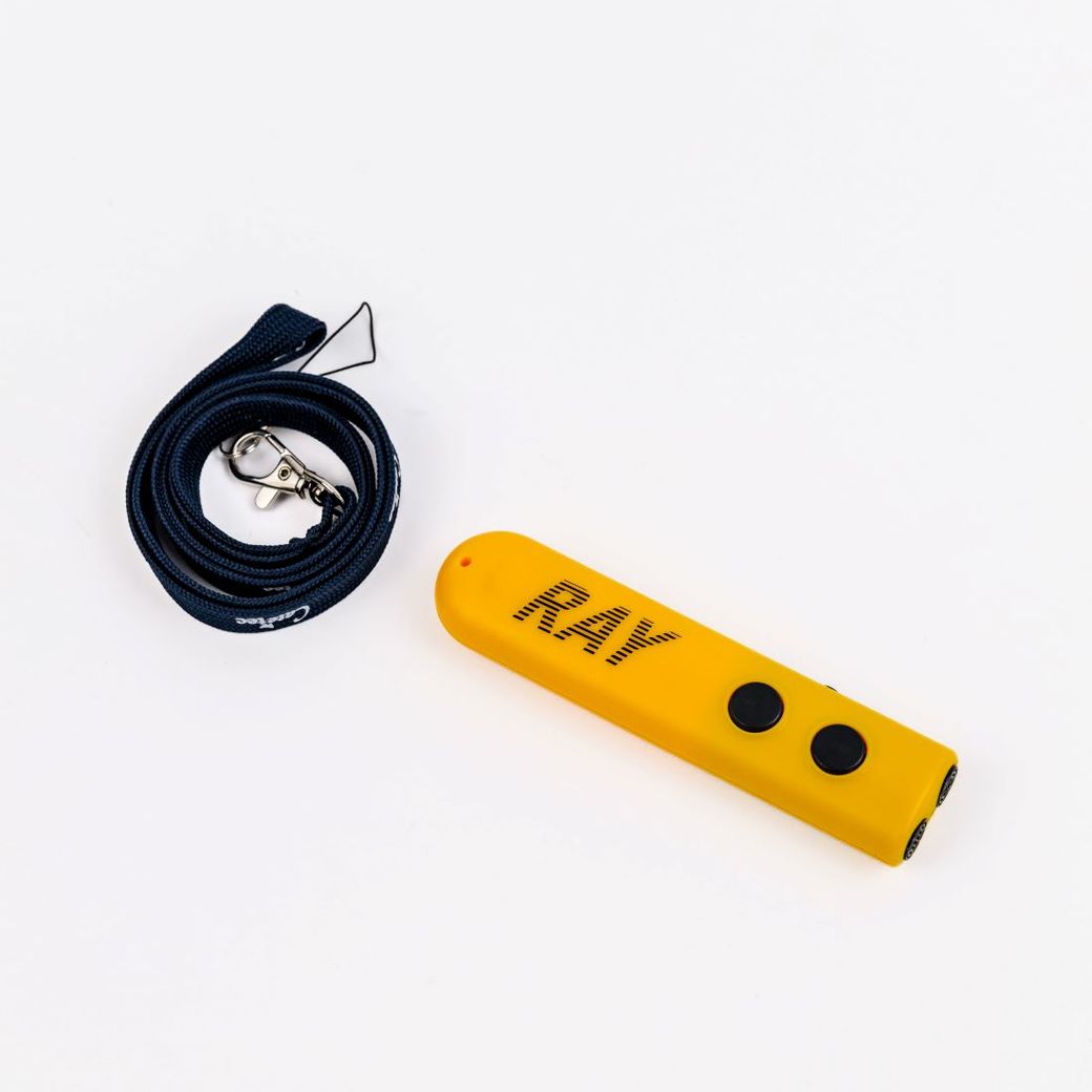 Электронная трость RAY