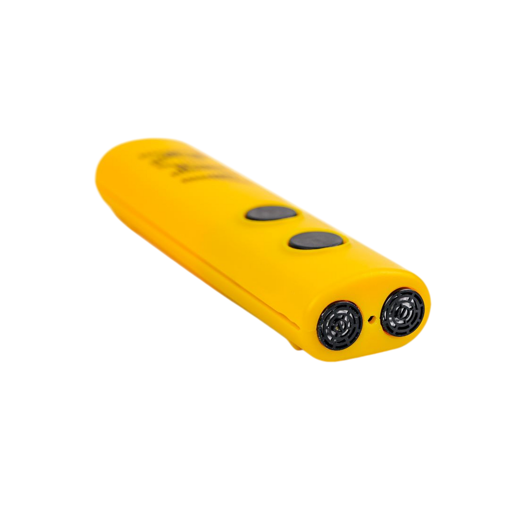 Электронная трость RAY