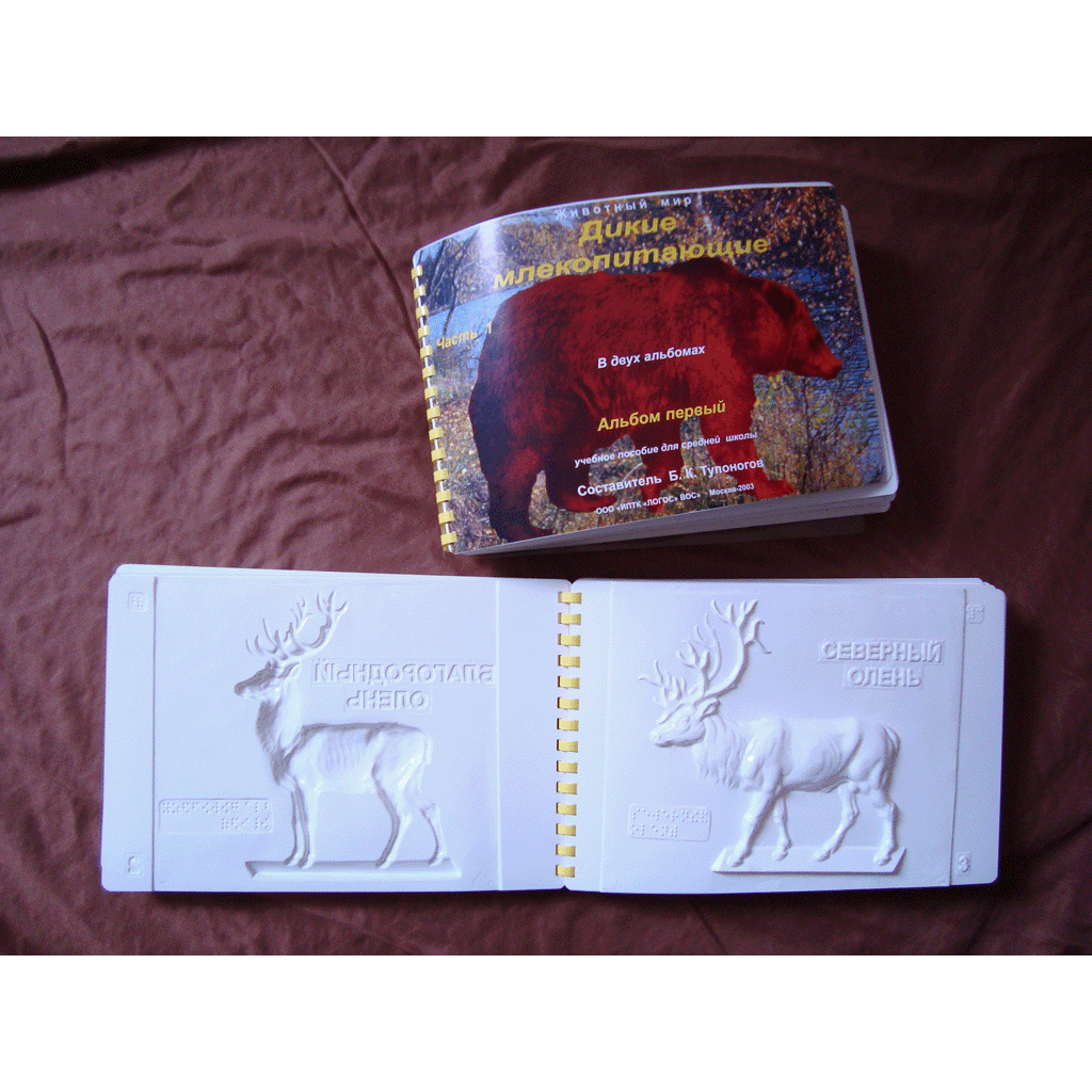 Дикие млекопитающие