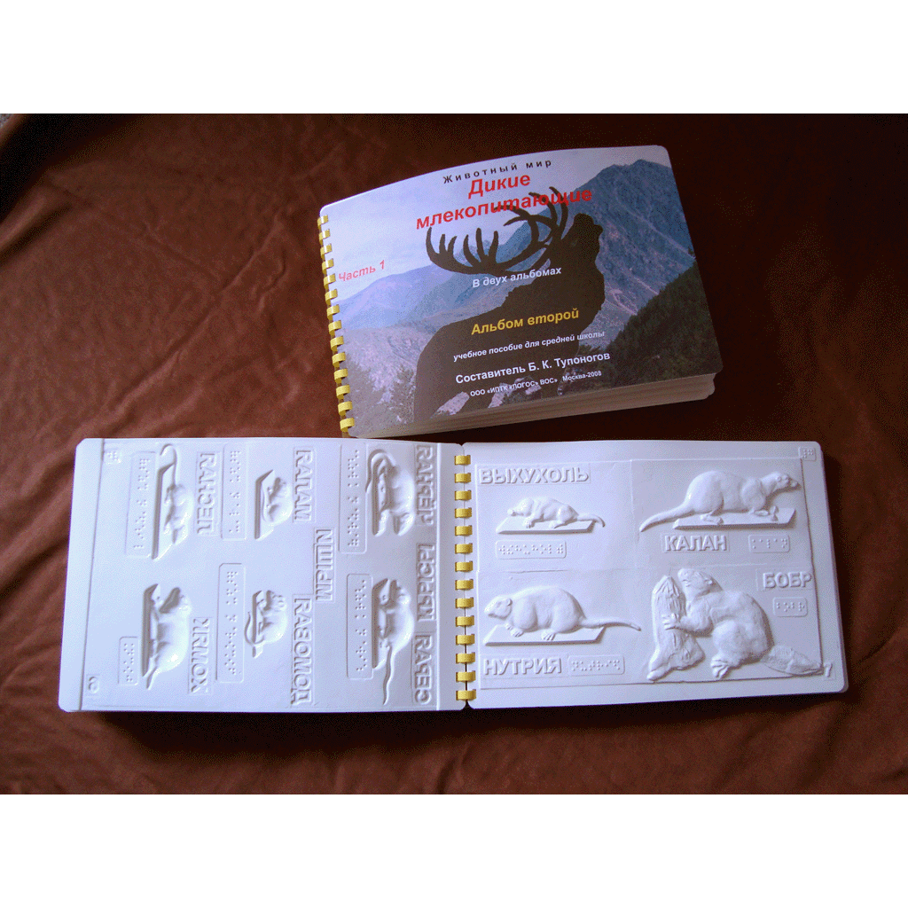 Дикие млекопитающие