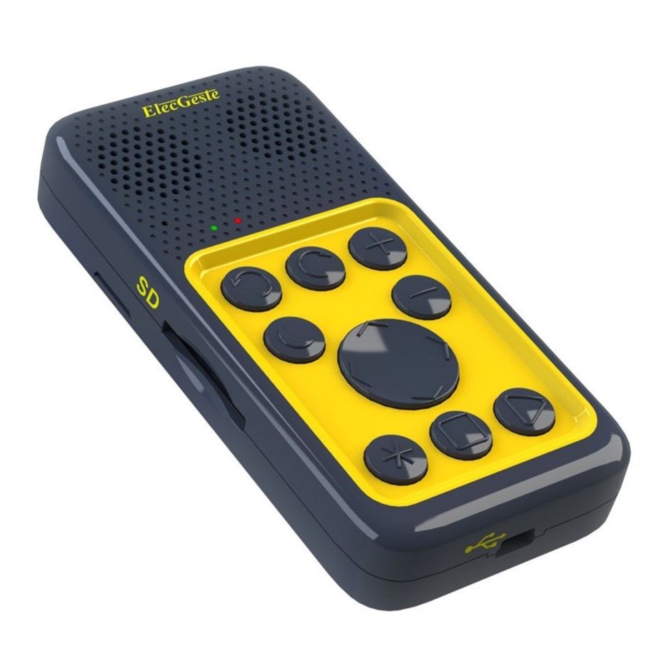 Карманный тифлофлешплеер ElecGeste DTBP-202