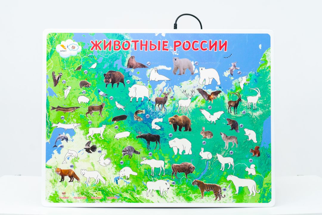 Стенд тактильно-звуковой обучающий Животные России с индукционной системой 840х640