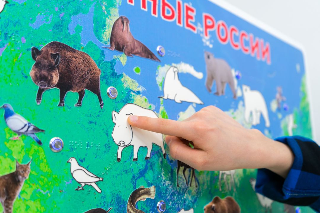 Стенд тактильно-звуковой обучающий Животные России 840х640