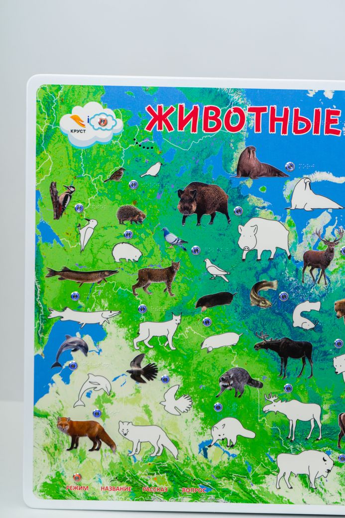 Стенд тактильно-звуковой обучающий Животные России 840х640
