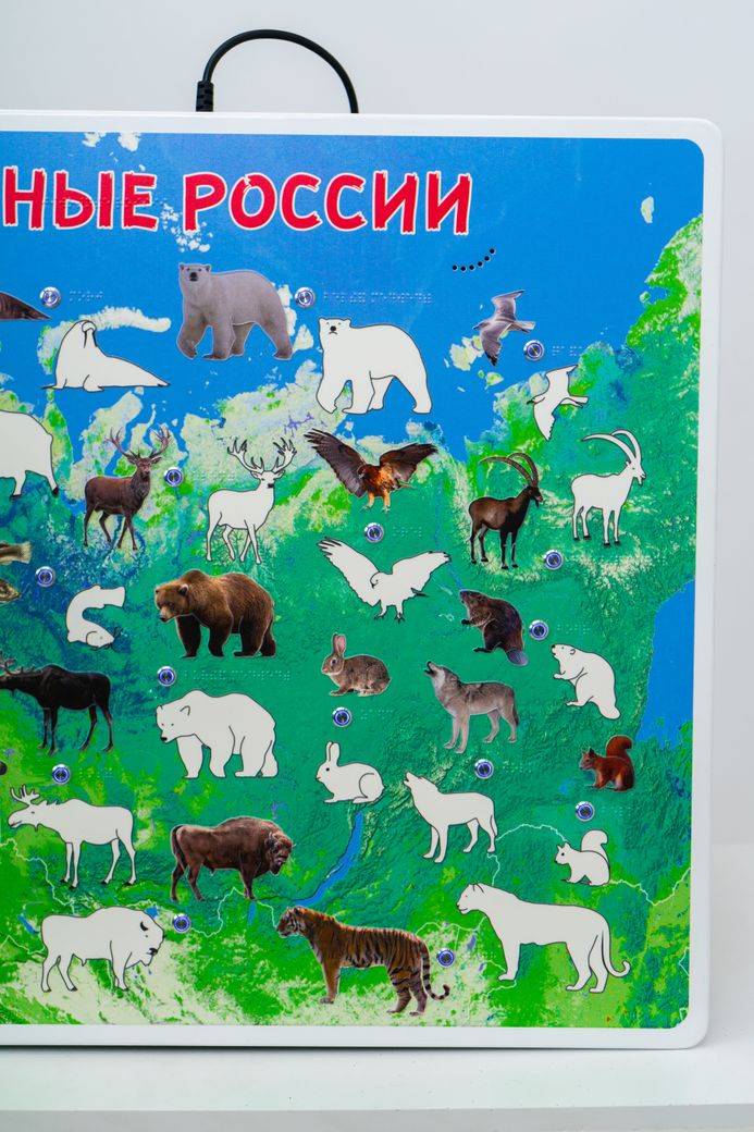 Стенд тактильно-звуковой обучающий Животные России с индукционной системой 840х640
