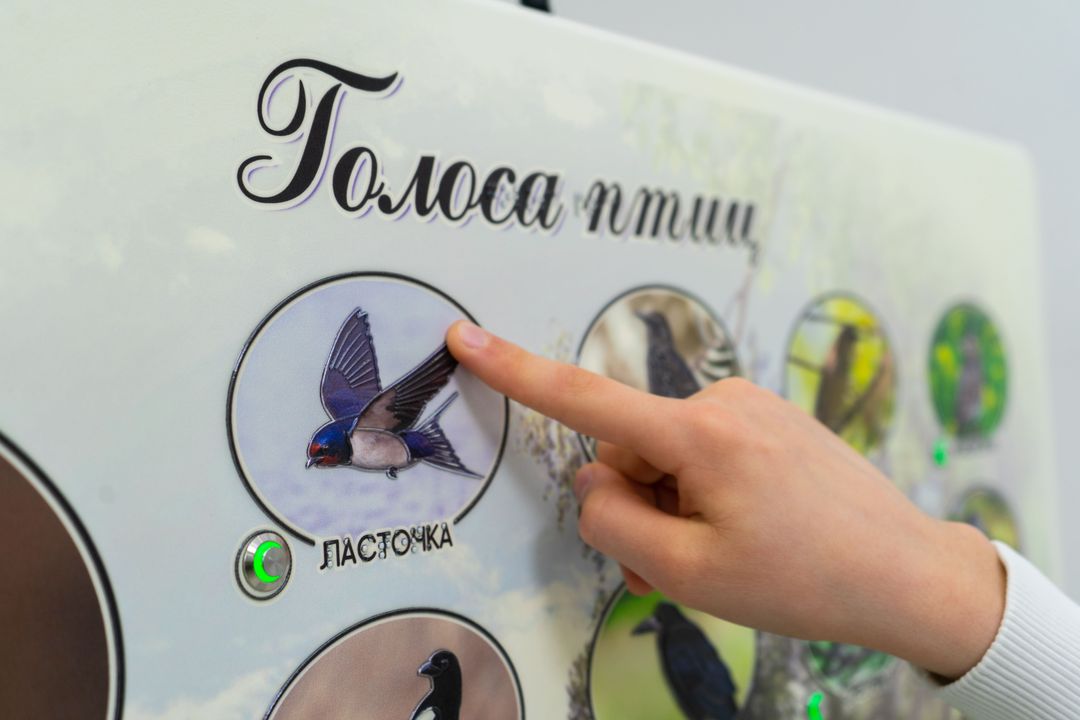 Стенд тактильно-звуковой Голоса птиц с индукционной системой 840х640