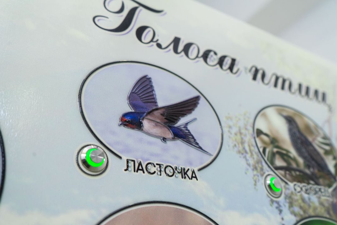 Стенд тактильно-звуковой Голоса птиц 840х640