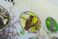Стенд тактильно-звуковой Голоса птиц 840х640