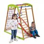 Детский спортивный комплекс "BabyWood Plus 1"
